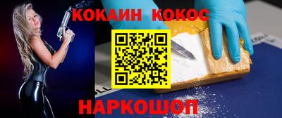 крисы Гатчина