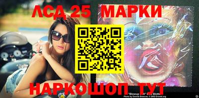 крисы Гатчина