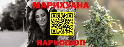 крисы Гатчина